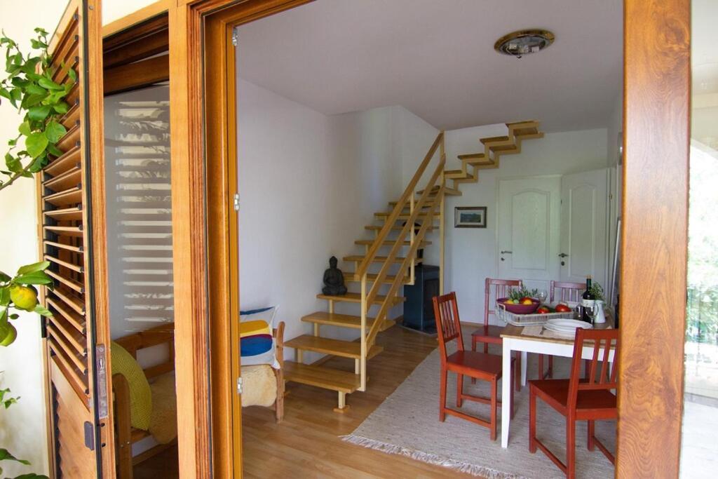 Smokvica - Feigenbaum Appartement Kornić Buitenkant foto